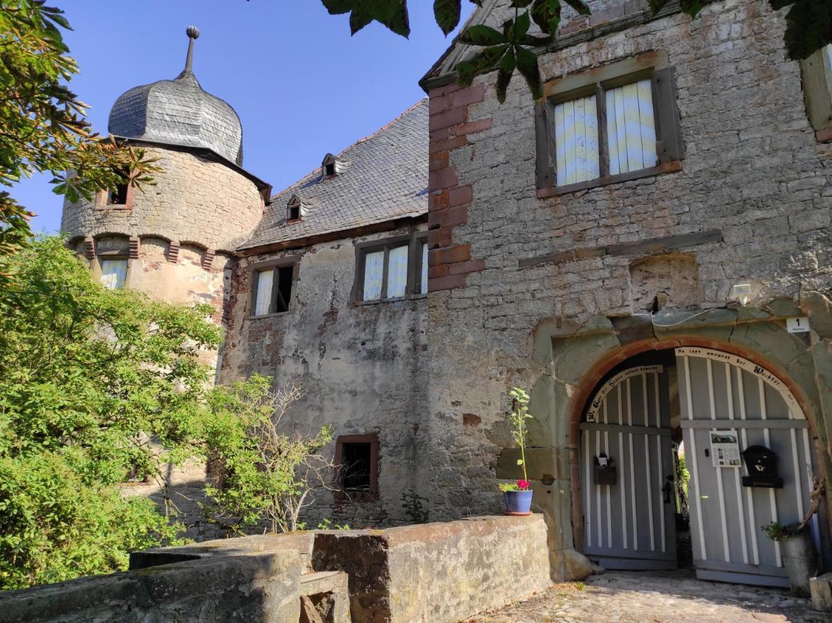Schloss Hoellrich Karsbach Dış mekan fotoğraf